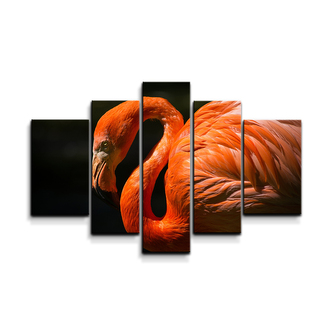 Obraz - 5-dílný Plameňák: 125x90 cm