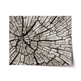 Plakát Dřevo: 90x60 cm