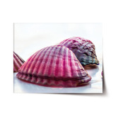 Plakát Mušličky: 90x60 cm