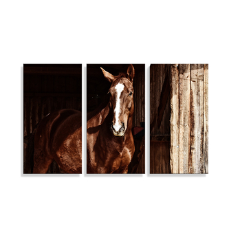 Obraz - 3-dílný Kůň ve stáji: 120x80 cm