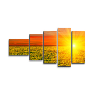 Obraz - 5-dílný Západ slunce nad loukou: 100x60 cm