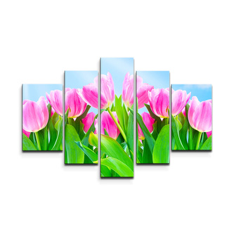 Obraz - 5-dílný Růžové tulipány: 125x90 cm
