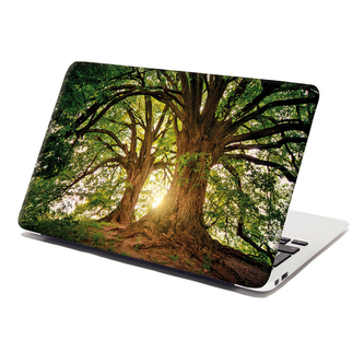 Samolepka na notebook Stromy: 29x20 cm