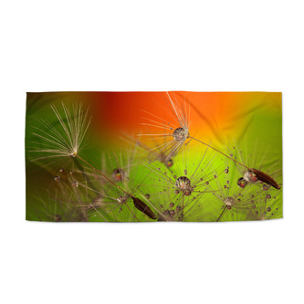 Ručník Odkvetlé pampelišky 2: 70x140 cm