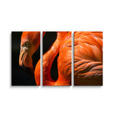 Obraz - 3-dílný Plameňák: 120x80 cm