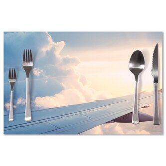 Prostírání Křídlo letadla: 40x30cm