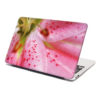 Samolepka na notebook Květ tulipánu: 29x20 cm