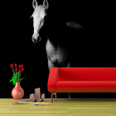 Tapeta Kůň ve stínu: 125x75 cm