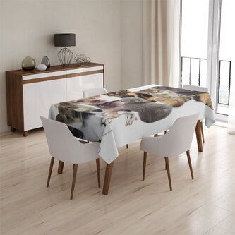 Ubrus Mláďátka 2: 130x170 cm Ubrus Mláďátka 2: 130x170 cm