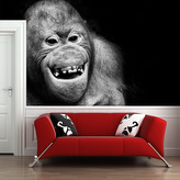 Tapeta Orangutan: 336x220 cm