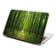 Samolepka na notebook Cesta v lese: 29x20 cm