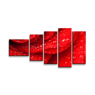 Obraz - 5-dílný Květ růže: 100x60 cm