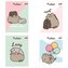 Zeszyt A5/32K linia dwukolorowa Pusheen (15szt)