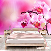 Tapeta Květy orchideje: 208x125 cm