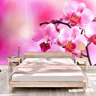 Tapeta Květy orchideje: 208x125 cm