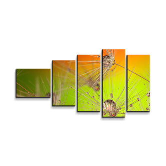 Obraz - 5-dílný Odkvetlé pampelišky: 100x60 cm