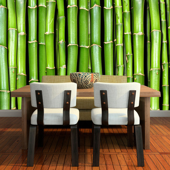 Tapeta Bambus: 336x220 cm Tapeta Bambus: 336x220 cm