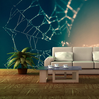 Tapeta Pavučina: 336x220 cm Tapeta Pavučina: 336x220 cm