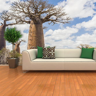 Tapeta Strom: 336x220 cm Tapeta Strom: 336x220 cm