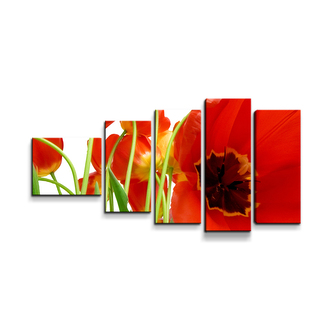 Obraz - 5-dílný Tulipány: 100x60 cm