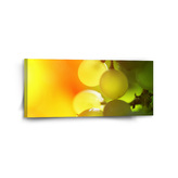 Obraz Hroznové víno: 110x50 cm