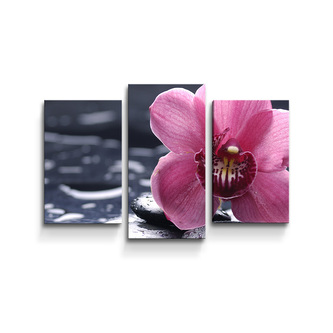 Obraz - 3-dílný Orchidej: 75x50 cm