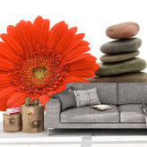 Tapeta Gerbera s kameny: 125x75 cm