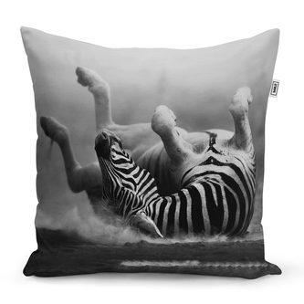 Polštář Válející se zebra: 50x50 cm