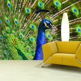 Tapeta Páv: 336x220 cm