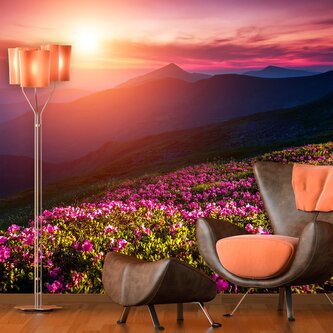 Tapeta Rozkvetlá příroda: 208x125 cm Tapeta Rozkvetlá příroda: 208x125 cm