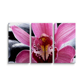 Obraz - 3-dílný Růžová orchidea: 120x80 cm