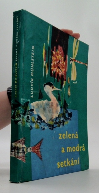 Zelená a modrá setkání