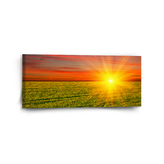 Obraz Západ slunce nad loukou: 110x50 cm