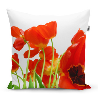 Polštář Tulipány: 40x40 cm