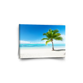 Obraz Palma na pláži: 60x40 cm