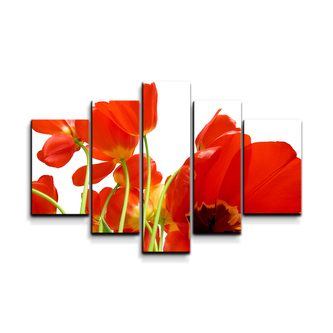 Obraz - 5-dílný Tulipány: 125x90 cm