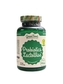 GreenFood nutrition - Probiotics Lactowise 60kapslí