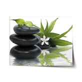 Plakát Květ s kameny: 120x80 cm