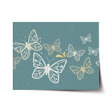 Plakát Motýli: 60x40 cm