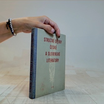 Stručné dějiny české a slovenské literatury