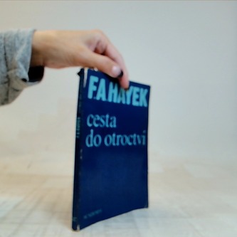 Cesta do otroctví