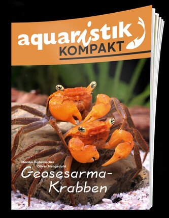 Geosesarma-Krabben - aquaristik KOMPAKT