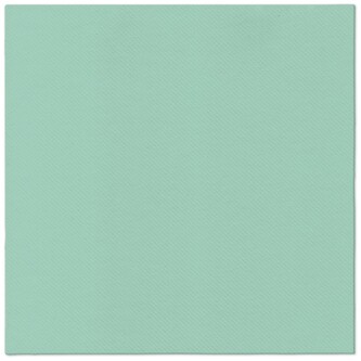 Ubrousky PAW AIRLAID 40x40 cm Monocolor (mint) Ubrousky PAW AIRLAID 40x40 cm Monocolor (mint)