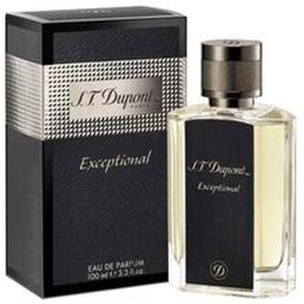 Dupont Exceptional Parfémová voda 100 ml pro muže