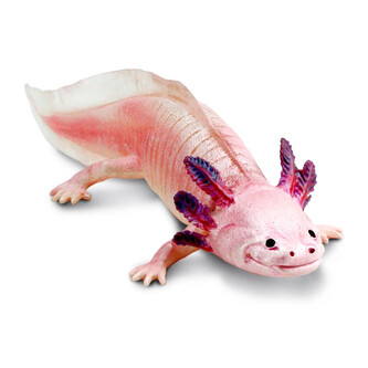 Figurka - Axolotl