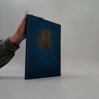 Pohádky z tisíce a jedné noci