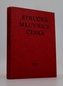Stručná mluvnice česká