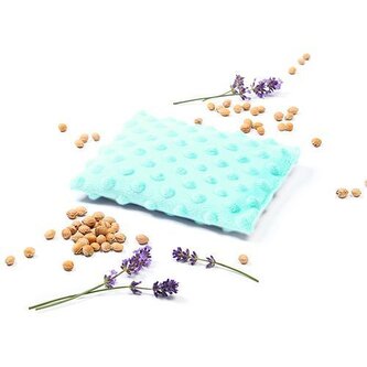 796/04 TERMOFOR Z PESTKAMI WIŚNI CHEERRY MIĘTOWY 796/04 TERMOFOR Z PESTKAMI WIŚNI CHEERRY MIĘTOWY