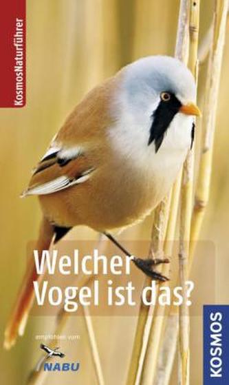 Welcher Vogel ist das?