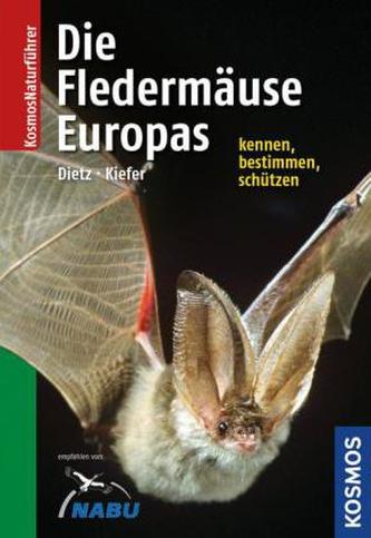 Die Fledermäuse Europas